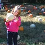 Naylor Family Farm & Giant Corn Maze photo