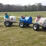 Naylor Family Farm & Giant Corn Maze photo