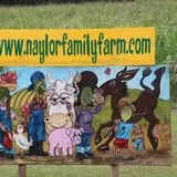 Naylor Family Farm & Giant Corn Maze photo