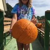 Naylor Family Farm & Giant Corn Maze photo