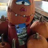 Naylor Family Farm & Giant Corn Maze photo