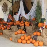 Naylor Family Farm & Giant Corn Maze photo