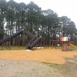 Naylor Family Farm & Giant Corn Maze photo