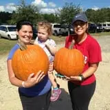Naylor Family Farm & Giant Corn Maze photo