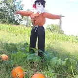 Naylor Family Farm & Giant Corn Maze photo