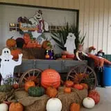 Naylor Family Farm & Giant Corn Maze photo