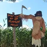 Naylor Family Farm & Giant Corn Maze photo