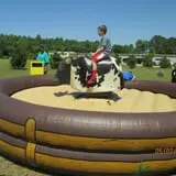 Naylor Family Farm & Giant Corn Maze photo
