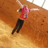 Naylor Family Farm & Giant Corn Maze photo