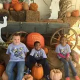 Naylor Family Farm & Giant Corn Maze photo