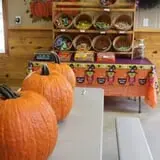 Naylor Family Farm & Giant Corn Maze photo
