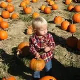 Naylor Family Farm & Giant Corn Maze photo