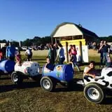 Naylor Family Farm & Giant Corn Maze photo