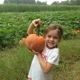 Naylor Family Farm & Giant Corn Maze photo