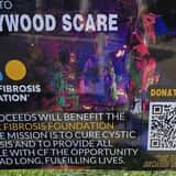 Stonywood Scare - Commack House Haunt photo