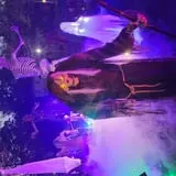 Stonywood Scare - Commack House Haunt photo