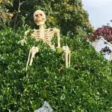 Stonywood Scare - Commack House Haunt photo