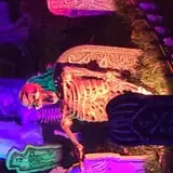 Stonywood Scare - Commack House Haunt photo