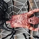 Stonywood Scare - Commack House Haunt photo