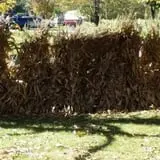 Countryside Farm photo
