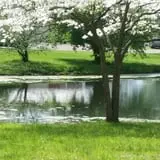 Countryside Farm photo