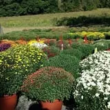 Countryside Farm photo