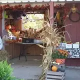 Countryside Farm photo