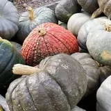 Countryside Farm photo