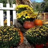 Countryside Farm photo
