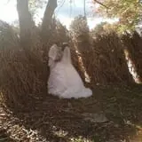 Countryside Farm photo