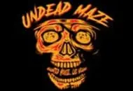 The Undead Maze 