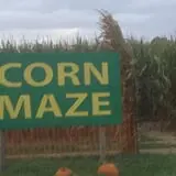 Lenny Bruno Farms Fall Festival photo
