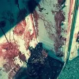 Route 24 Haunted Attraction photo