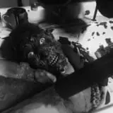 Route 24 Haunted Attraction photo