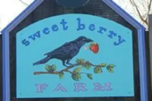 Sweet Berry Farm