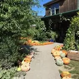 Sweet Berry Farm photo