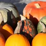 Sweet Berry Farm photo