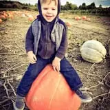 Sweet Berry Farm photo