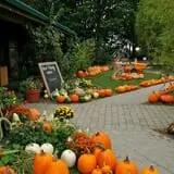 Sweet Berry Farm photo