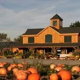 Sweet Berry Farm photo