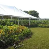Sweet Berry Farm photo