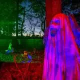 Haunted Oaks of Bon Ayr