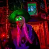 Haunted Oaks of Bon Ayr