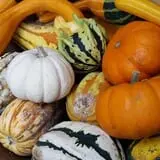 Lambert Melons photo