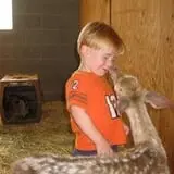 Action Wildlife photo