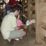 Action Wildlife photo