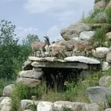 Action Wildlife photo