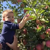VonThun Farms Fall Family Fun photo