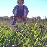 VonThun Farms Fall Family Fun photo