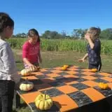 VonThun Farms Fall Family Fun photo